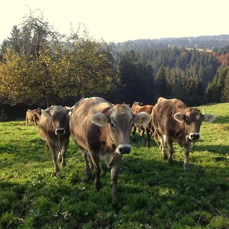 شقة Sinz Im Allgaeu *