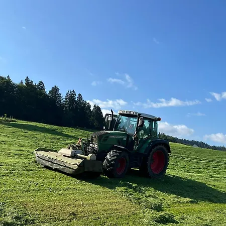 Sinz Im Allgaeu Weiler-Simmerberg
