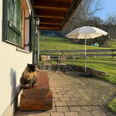 Sinz Im Allgaeu Apartment *