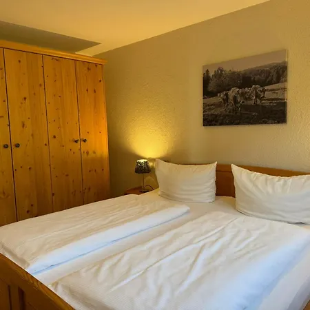 Sinz Im Allgaeu Apartment