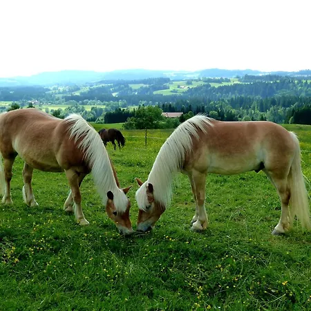 Apartment Sinz Im Allgaeu
