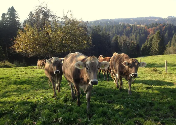 Lejlighed Sinz Im Allgaeu *