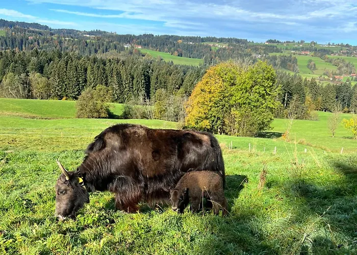 Lejlighed Sinz Im Allgaeu Weiler-Simmerberg
