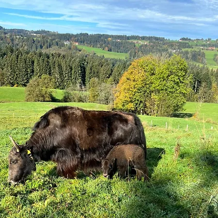 Apartamento Sinz Im Allgaeu Weiler-Simmerberg