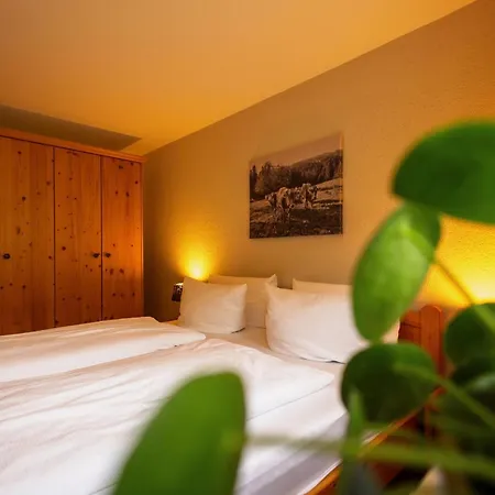 Appartamento Sinz Im Allgaeu